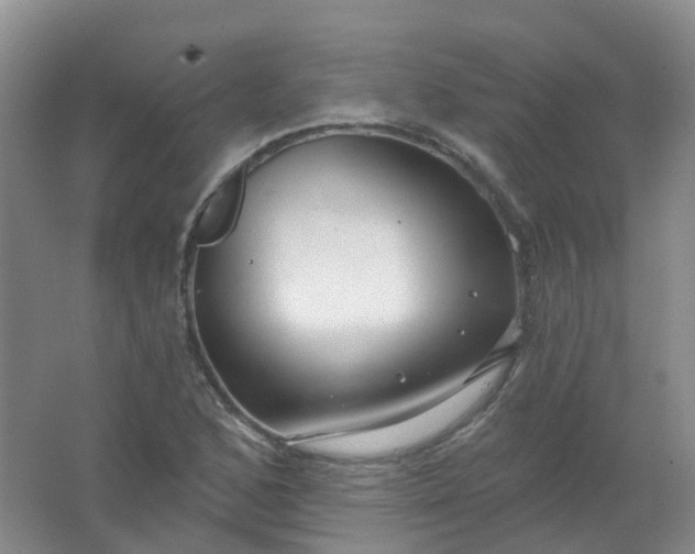 X0000062141168200512231457