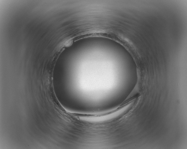 X0000062141169200512231457