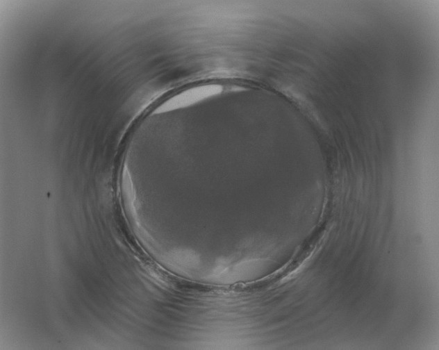 X0000062141170200512231457