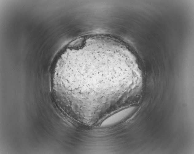 X0000062141171200512231457