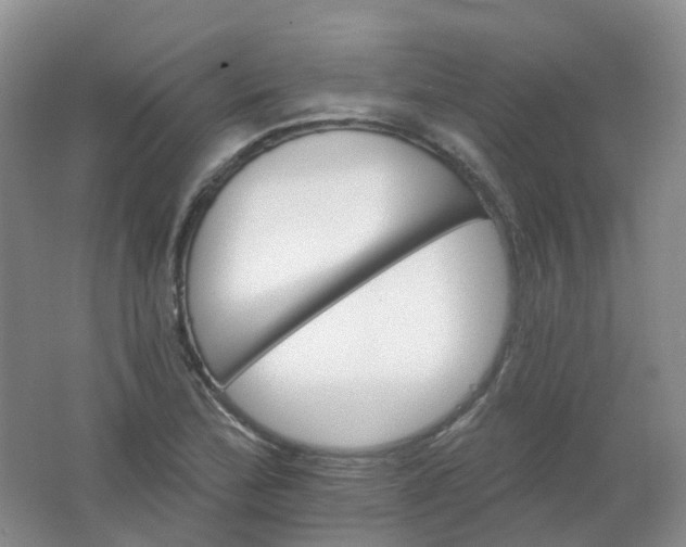 X0000062141172200512231457