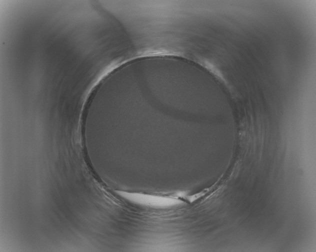 X0000062141173200512231457