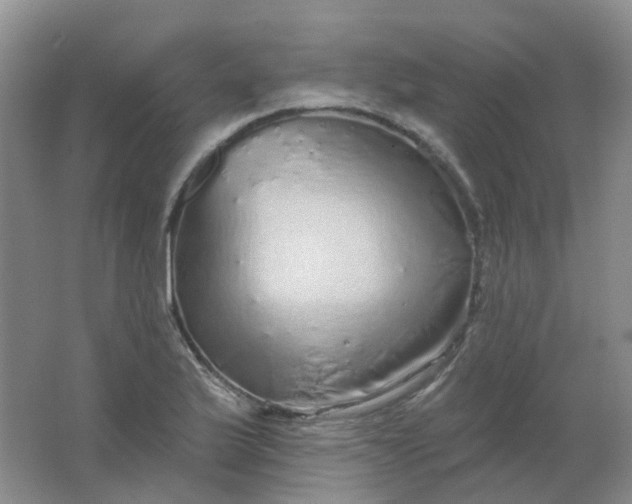 X0000062141175200512231457