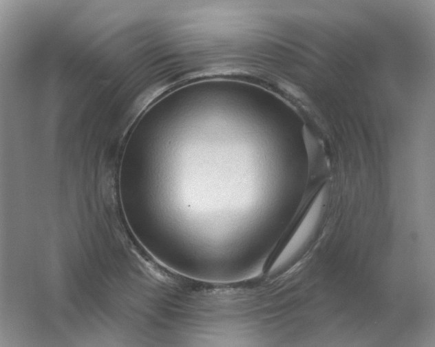 X0000062141177200512231457