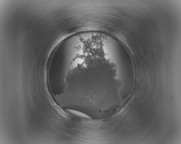 X0000062141179200512231457