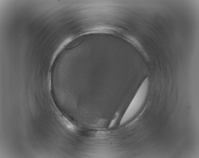 X0000062141180200512231457