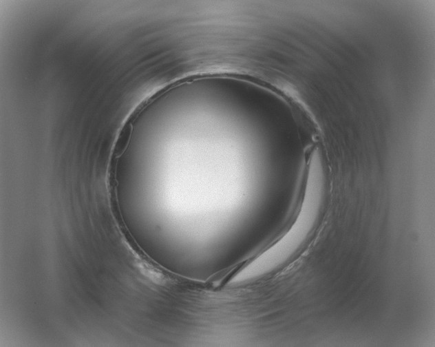 X0000062141181200512231457