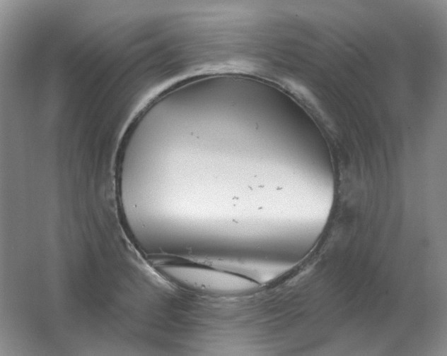 X0000062141184200512231457