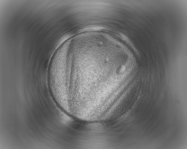 X0000062141186200512231457