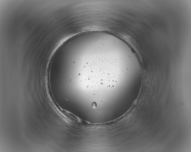 X0000062141187200512231457