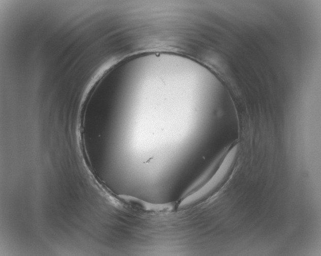 X0000062141188200512231457