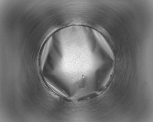 X0000062141190200512231456