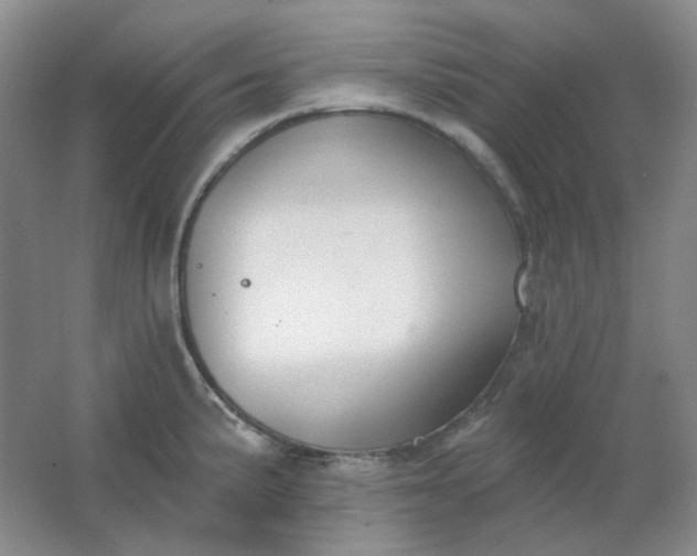 X0000062141191200512231456