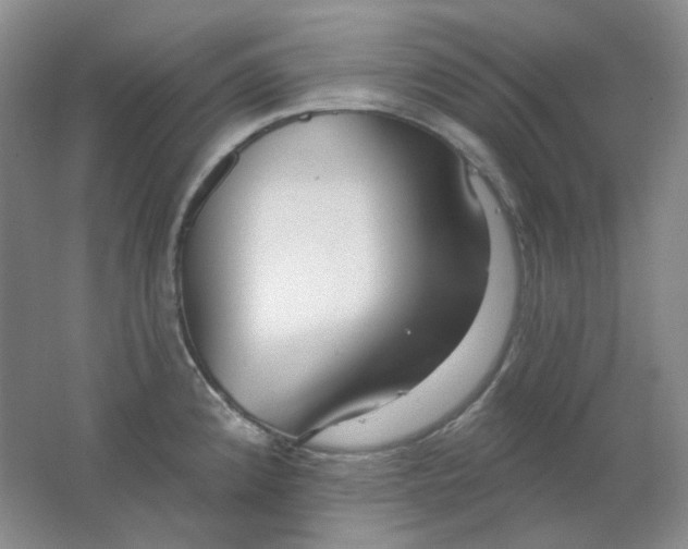 X0000062141192200512231456