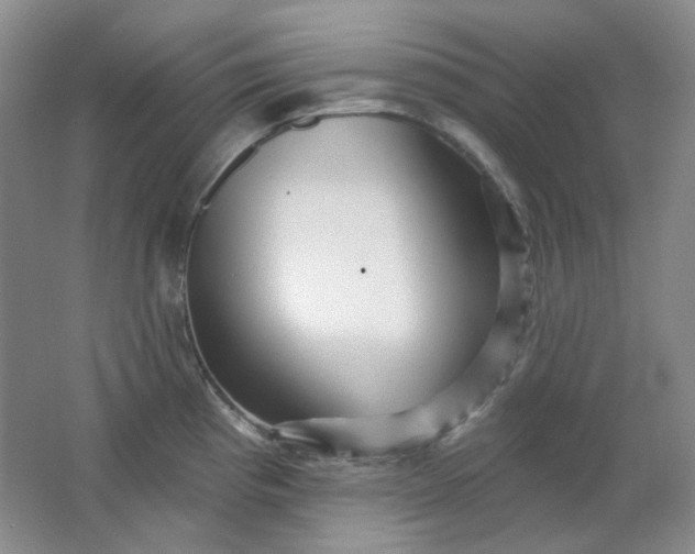 X0000062141193200512231456