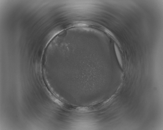 X0000062141194200512231456