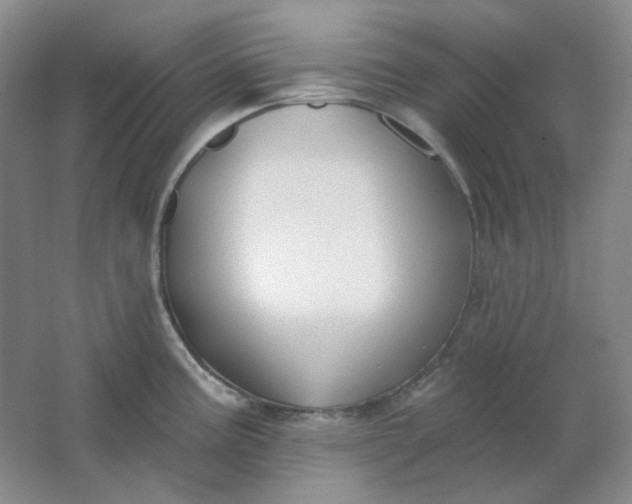 X0000062141195200512231456