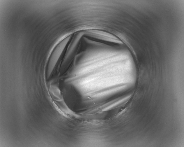 X0000062141197200512231456