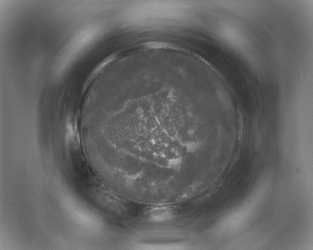 X0000062141198200512231456