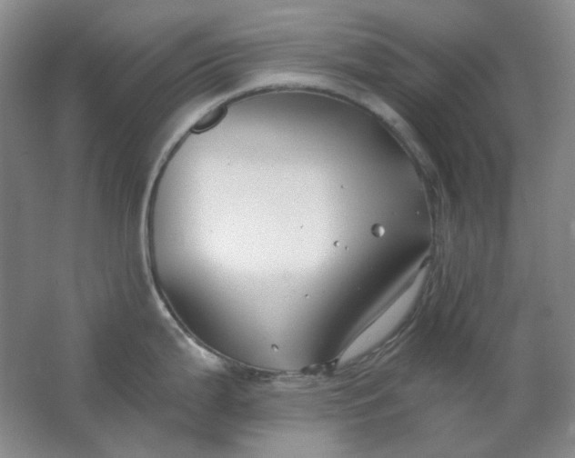 X0000062141199200512231456