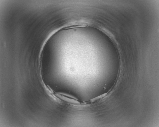 X0000062141200200512231456