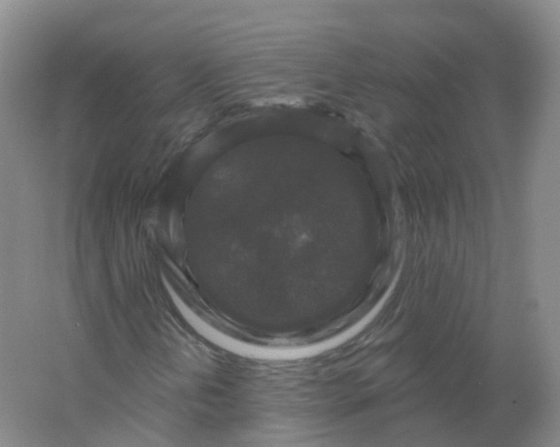 X0000062141202200512231456