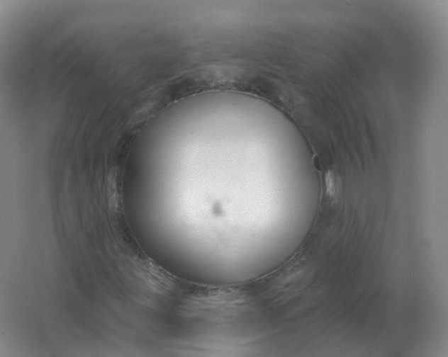 X0000062141203200512231456