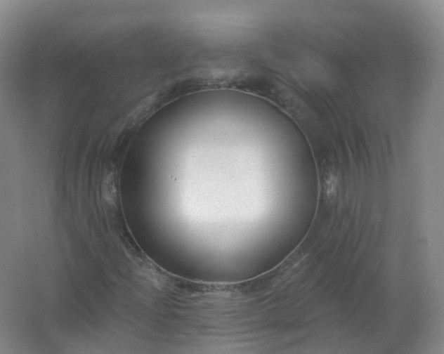 X0000062141204200512231456