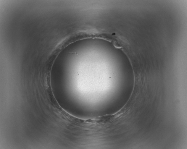 X0000062141205200512231456