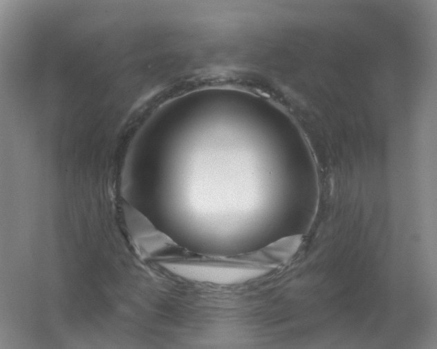 X0000062141206200512231456