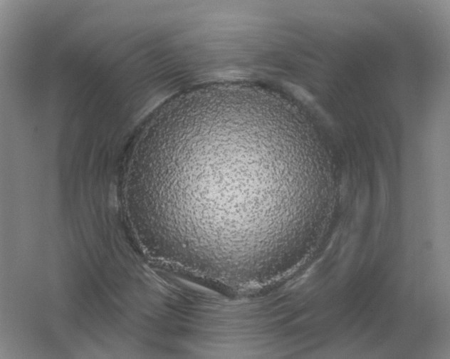 X0000062141209200512231456