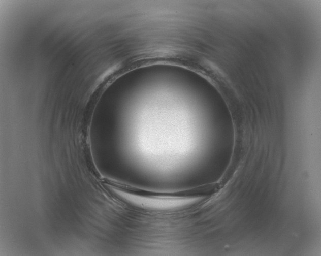 X0000062141210200512231456