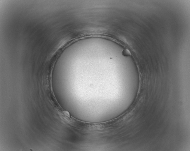 X0000062141211200512231456