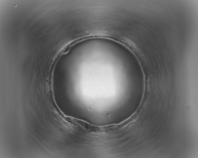 X0000062141212200512231456