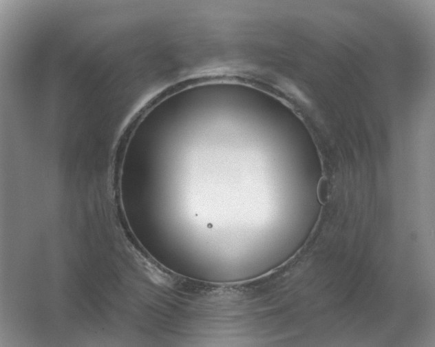 X0000062141216200512231456