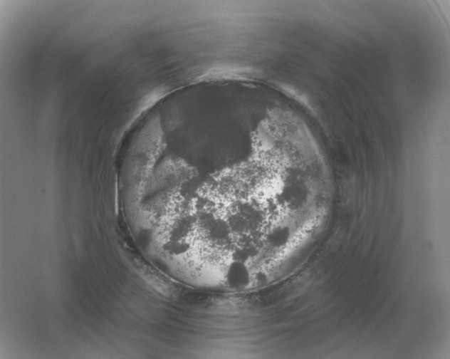 X0000062141219200512231456