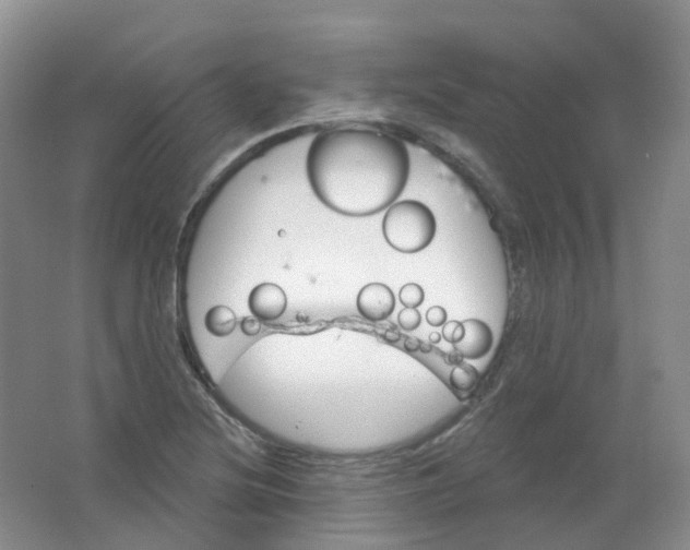 X0000062141220200512231456