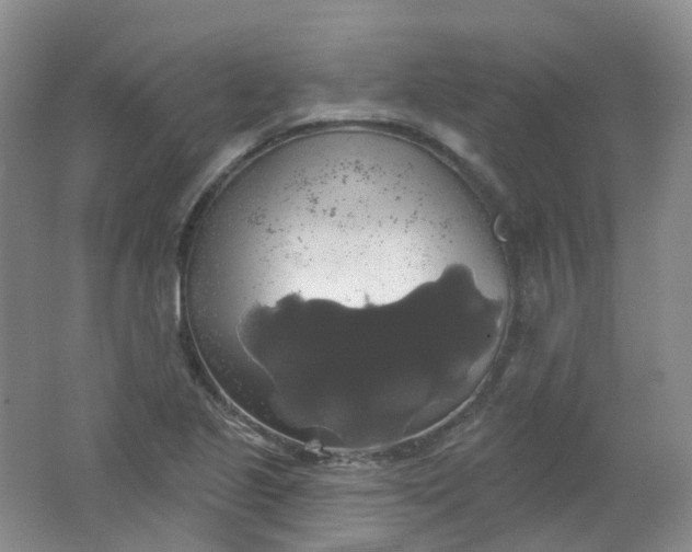 X0000062141221200512231456