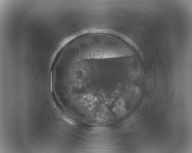 X0000062141223200512231456