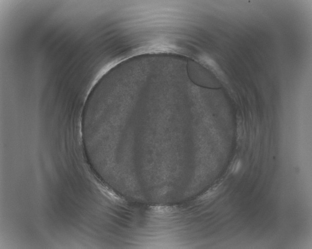 X0000062141226200512231456