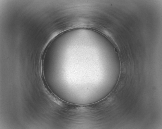 X0000062141227200512231456