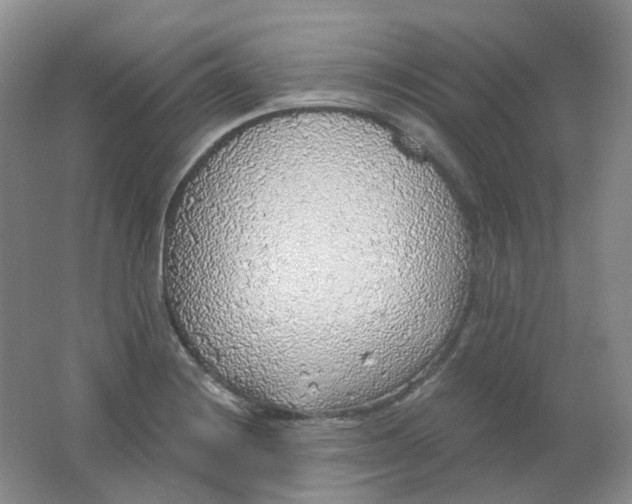 X0000062141228200512231456