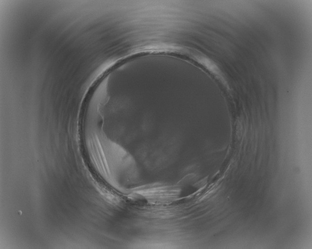 X0000062141229200512231456