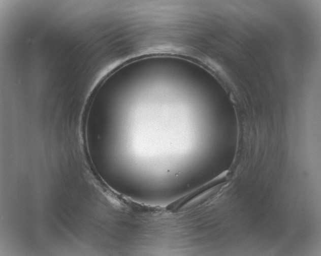 X0000062141230200512231456