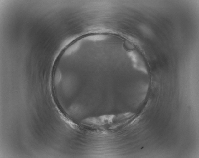 X0000062141231200512231456