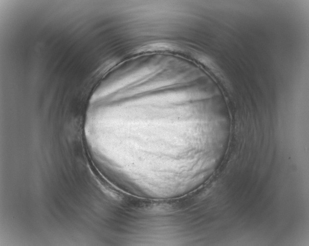 X0000062141233200512231456