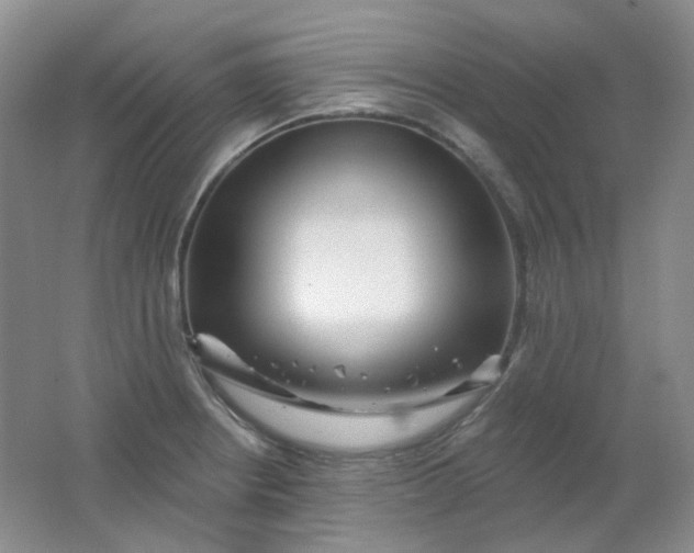 X0000062141234200512231456