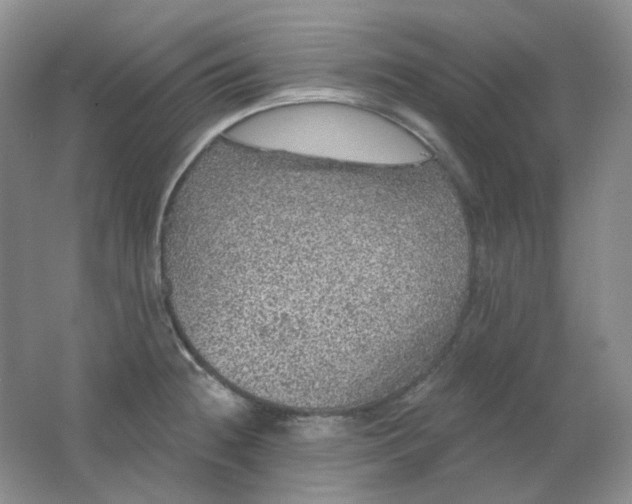 X0000062141236200512231456