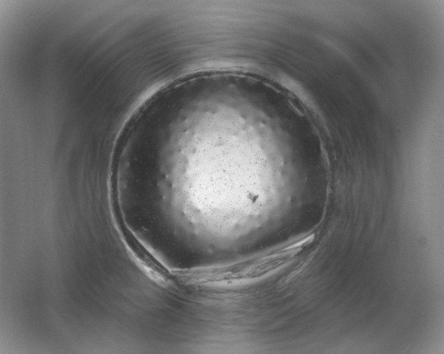 X0000062141237200512231456