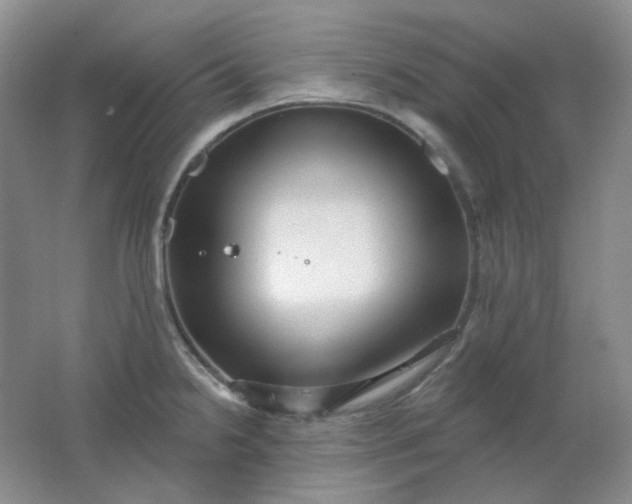 X0000062141238200512231456